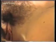 A bushy vagina meets a hairy dog.